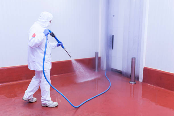 Best Sidewalk and Walkway Pressure Cleaning in Blue Ridge, AL